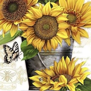 Meet your Posher, Veronica